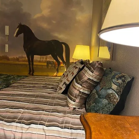 Hotel Skuespiller Centralen Viborg