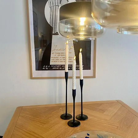 Skuespiller Centralen Hotel Viborg